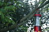 Filename=DSC_0054.jpg
Filesize=102KiB
Dimensions=752x500
Date added=Apr 12, 2007 DSC_0054.jpg