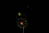 Filename=DSC_0160.jpg
Filesize=30KiB
Dimensions=724x486
Date added=Jul 04, 2007 DSC_0160.jpg
