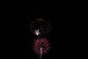 Filename=DSC_0168.jpg
Filesize=33KiB
Dimensions=724x486
Date added=Jul 04, 2007 DSC_0168.jpg