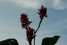 Filename=image0009.jpg
Filesize=39KiB
Dimensions=752x500
Date added=Jun 04, 2006 image0009.jpg