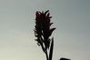 Filename=image0010.jpg
Filesize=27KiB
Dimensions=752x500
Date added=Jun 04, 2006 image0010.jpg