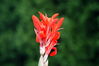 Filename=image0011.jpg
Filesize=46KiB
Dimensions=752x500
Date added=Jun 04, 2006 image0011.jpg