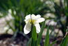 Filename=DSC_0010.jpg
Filesize=60KiB
Dimensions=724x486
Date added=Jun 04, 2006 DSC_0010.jpg