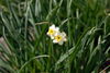 Filename=DSC_0021.jpg
Filesize=68KiB
Dimensions=724x486
Date added=Jun 04, 2006 DSC_0021.jpg