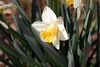 Filename=DSC_0022.jpg
Filesize=61KiB
Dimensions=724x486
Date added=Jun 04, 2006 DSC_0022.jpg