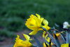 Filename=DSC_0001.jpg
Filesize=56KiB
Dimensions=724x486
Date added=Jun 04, 2006 DSC_0001.jpg