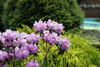 Filename=DSC_0007.jpg
Filesize=98KiB
Dimensions=724x486
Date added=Jun 04, 2006 DSC_0007.jpg