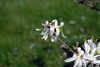 Filename=DSC_0021.jpg
Filesize=53KiB
Dimensions=724x486
Date added=Jun 04, 2006 DSC_0021.jpg