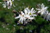 Filename=DSC_0022.jpg
Filesize=65KiB
Dimensions=724x486
Date added=Jun 04, 2006 DSC_0022.jpg