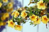 Filename=DSC_0003.jpg
Filesize=82KiB
Dimensions=724x486
Date added=Jun 04, 2006 DSC_0003.jpg