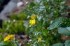 Filename=DSC_0007.jpg
Filesize=70KiB
Dimensions=724x486
Date added=Jun 04, 2006 DSC_0007.jpg