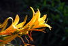 Filename=DSC_0016.jpg
Filesize=67KiB
Dimensions=724x486
Date added=Jun 04, 2006 DSC_0016.jpg