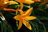 Filename=DSC_0017.jpg
Filesize=68KiB
Dimensions=724x486
Date added=Jun 04, 2006 DSC_0017.jpg