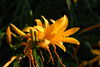 Filename=DSC_0021.jpg
Filesize=71KiB
Dimensions=724x486
Date added=Jun 04, 2006 DSC_0021.jpg